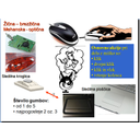 HW27.jpg<>Slika 90. Vrste mišk in značilne aktivnosti, ki jih omogočajo