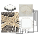 nevronski.jpg<>Slika 46. Nevronski čip bioračunalnika