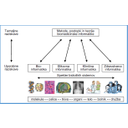 ZIS_11.jpg<>Slika 25. Področja biomedicinske informatike 