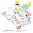 ZIS_36.jpg<>Slika 43. Podatkovne povezave znotraj slovenskega zdravstvenega sistema